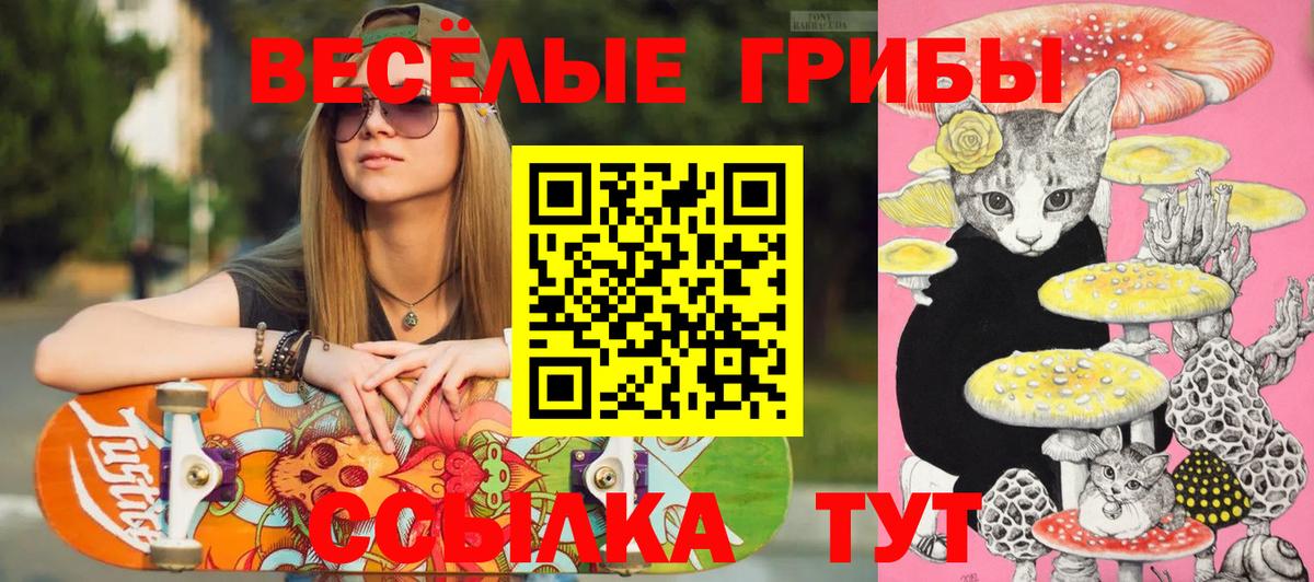 Псилоцибиновые грибы MAGIC MUSHROOMS Анапа