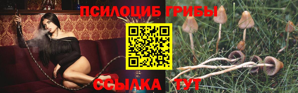 Псилоцибиновые грибы мухоморы  хочу наркоту  Анапа  Вход с VPN 